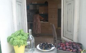 Murattiana 213-1